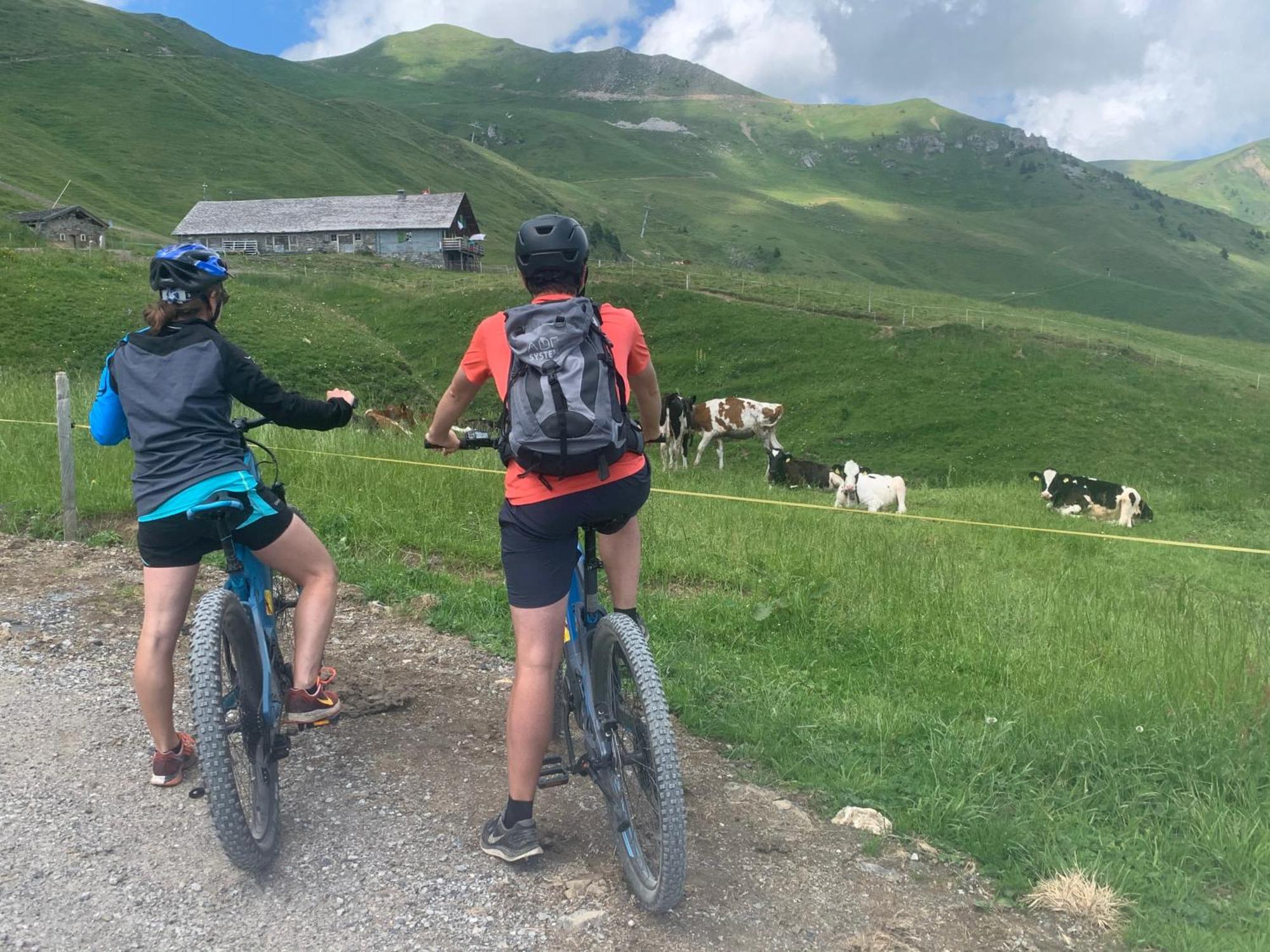 Chalet Montriond - Bike & Ski Les Crosets Luaran gambar