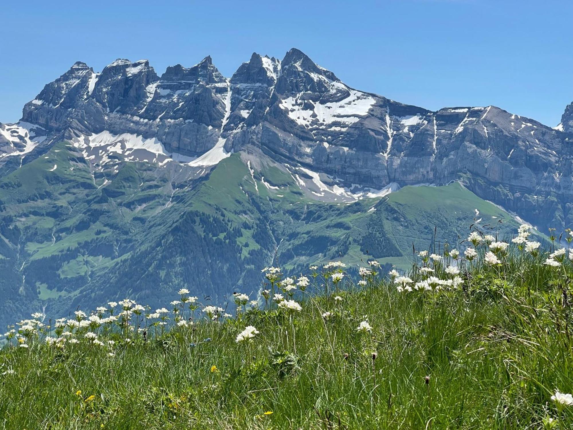 Chalet Montriond - Bike & Ski Les Crosets Luaran gambar